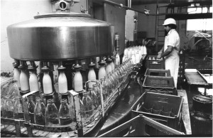 Milk Packaging room Milk bottleing Nick Andronikis 1980